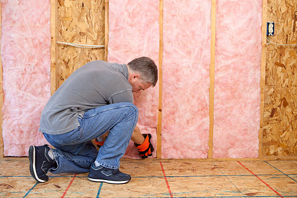 Best Attic Insulation Installation  in Hinton, WV